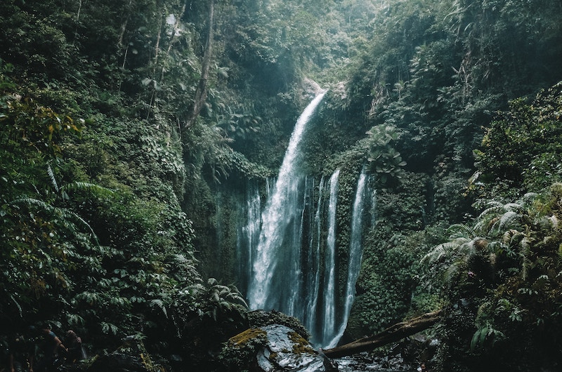 Lombok Hiking Rain forest